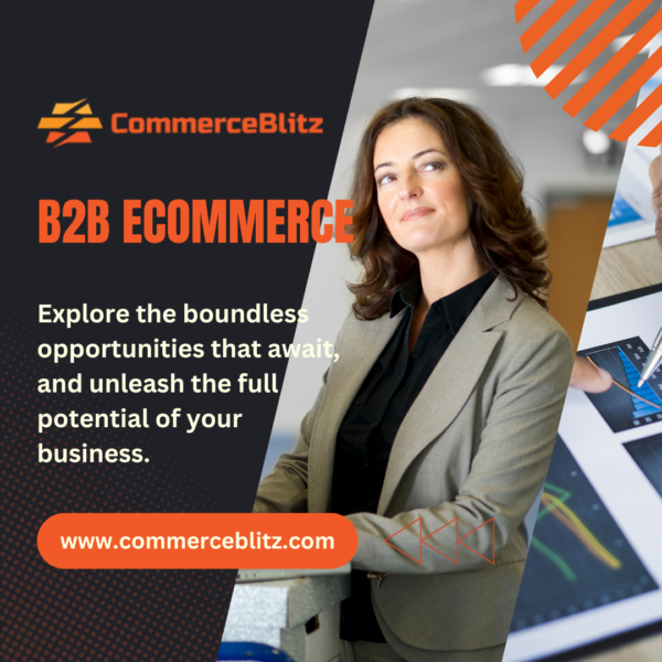 Unleashing the Surge: The Explosive Growth of B2B E-commerce